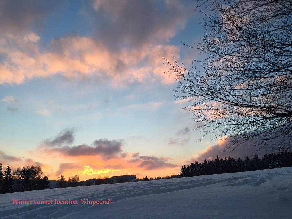Apartman Martin Lipno nad Vltavou Buitenkant foto
