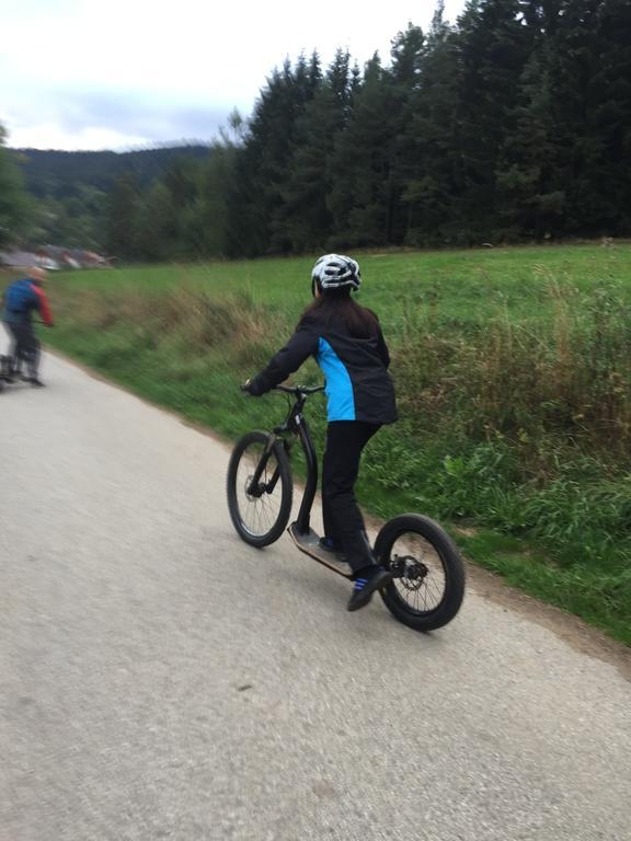 Apartman Martin Lipno nad Vltavou Buitenkant foto
